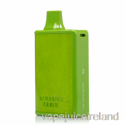 Vape Pod Kits Horizon Binaries Cabin 10000 Disposable Vanilla Lemon Tart